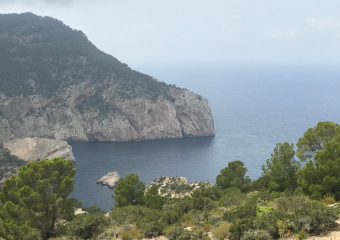 Bild Off-Road Tour auf Ibiza Reisebericht